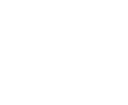 Evolution games at Royal Spin Zone Casino